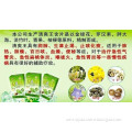 Health Drug for Expectorate Traditional Chinese Medicine